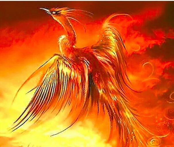 Птица феникс фото diamond painting cross stitch5D DIY Fire phoenix Rhinestones diamond painting su