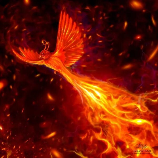 Птица феникс фото Immortal Flames Phoenix art, Phoenix artwork, Fire bird