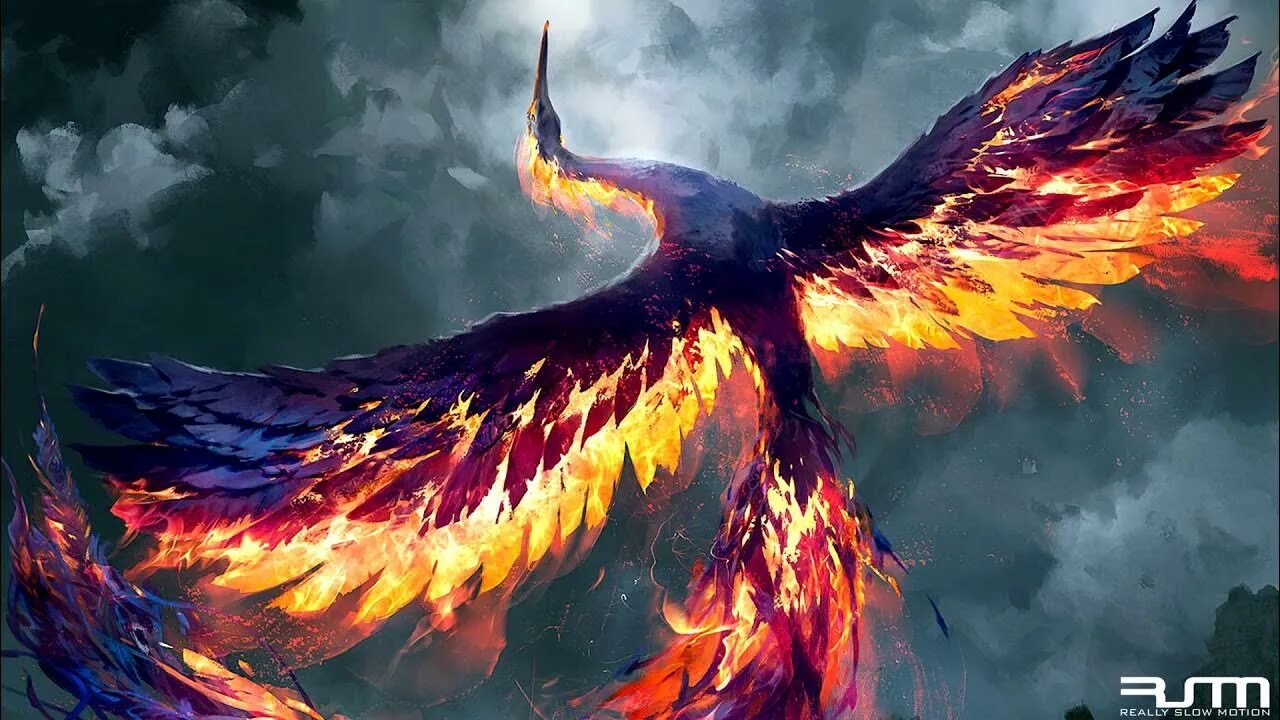 Птица феникс фото картинки Really Slow Motion - Phoenix Ascent (Epic Beautiful Choral Orchestral) - YouTube