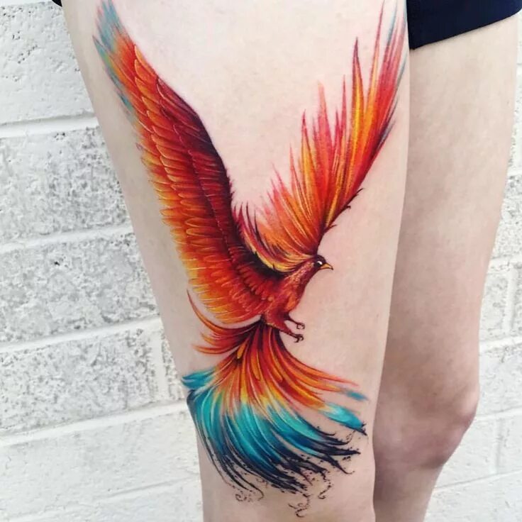 Птица феникс фото тату для девушек #Phoenix #phoenixtattoo #phoenixbirdtattoo #phoenixbird #phoenixrising #phoenixa