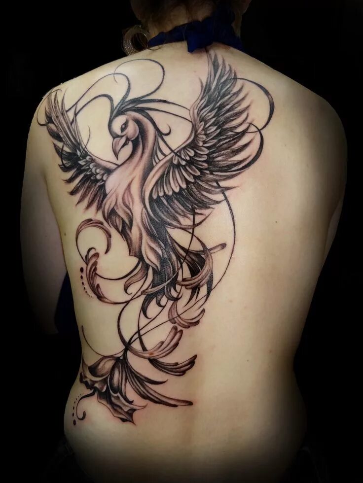 Птица феникс фото тату для девушек Idées tatouages Fantasy, Animal - Le meilleur du tatouage Tatouage fenix, Tatoua