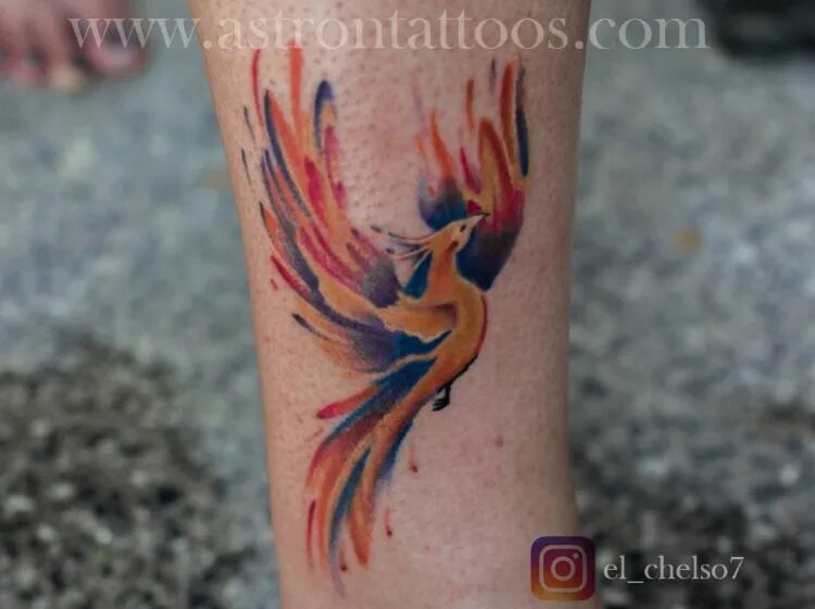 Птица феникс тату фото Colorful phoenix tattoo done by Pradeep Junior @ Astron Tattoo Studio Bangalore 