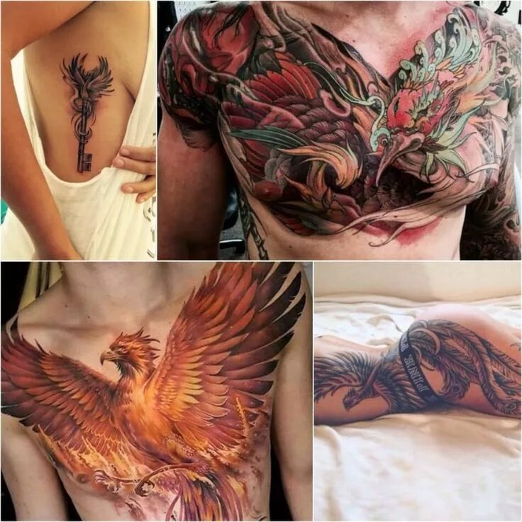 Птица феникс тату фото для женщин Phoenix Tattoos Meaning - Small Phoenix Tattoos - Japanese Phoenix Tattoos Small