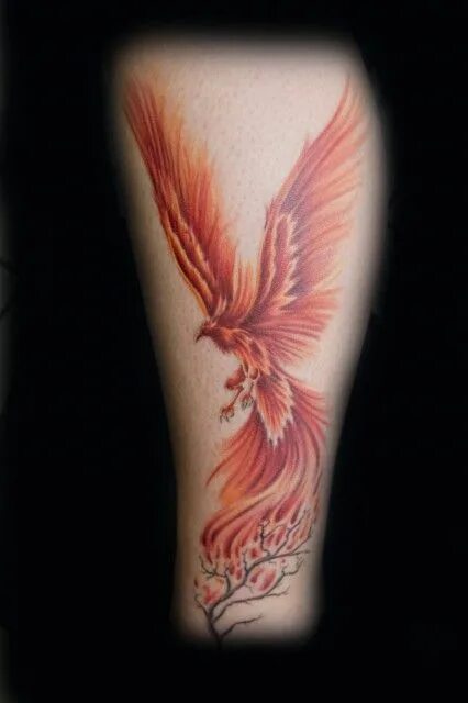 Птица феникс тату фото на руке 8 Tattoo ideas pheonix tattoo, phoenix tattoo, phoenix tattoo design