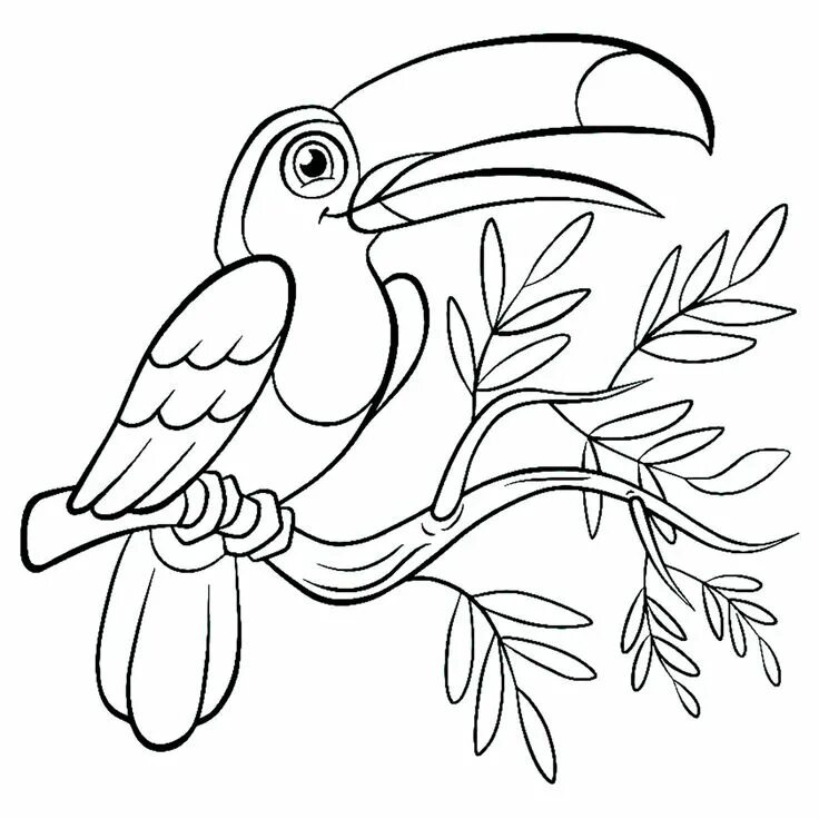 Птица фото раскраска Printable Birds coloring page to print and color, From the gallery : Birds Manda