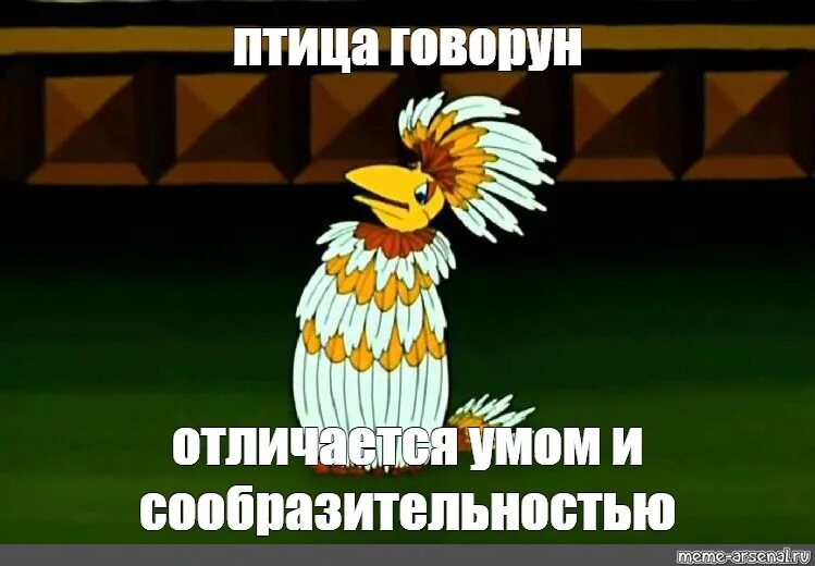 Птица говорун фото Ну что сказать? Жить материально стали, конечно, намного лучше Тайны мира Дзен