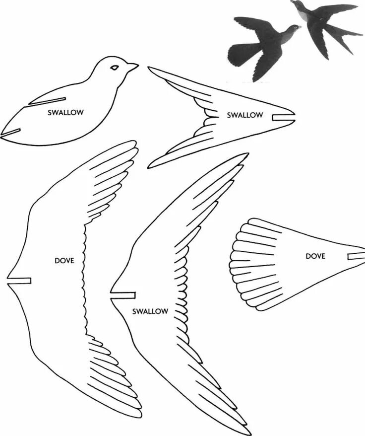 Птица из фанеры своими руками чертежи Patrones para sierra caladora, Animales de cartulina, Sierra de calar