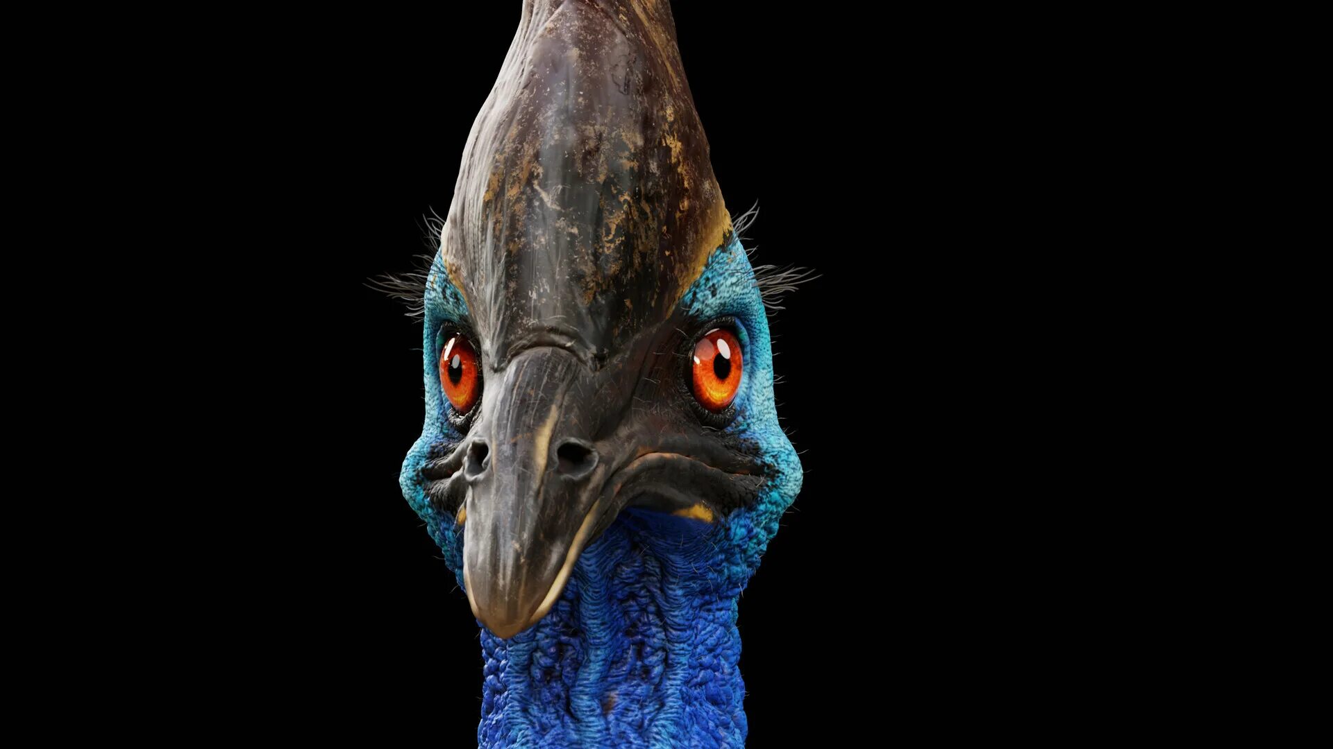 Птица казуар фото ArtStation - The Cassowary Project