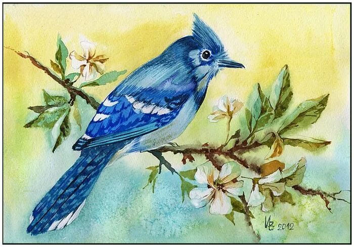 Птица рисунок фото The Blue Bird by kosharik69 on DeviantArt Искусство птицы, Лазурная птица, Рисун