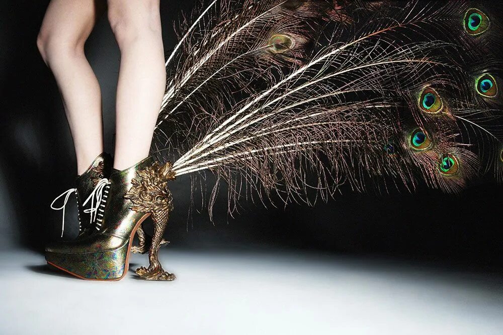 Птица туфелька фото Stepping into Metamorphosis: The Shoes of Masaya Kushino Peacock shoes, Artistic