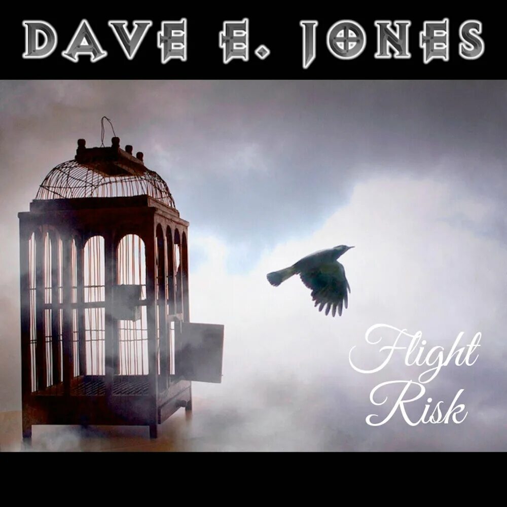 Птица в клетке фото Dave E. Jones альбом Flight Risk слушать онлайн бесплатно на Яндекс Музыке в хор