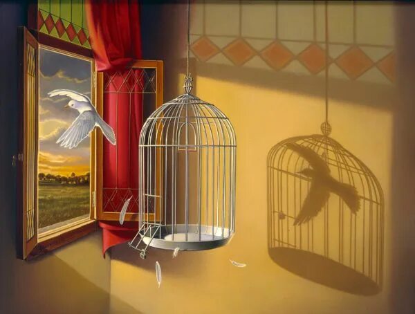 Птица в клетке фото Tim O’Brien (1964) Bird in a cage, Conceptual, Bird art