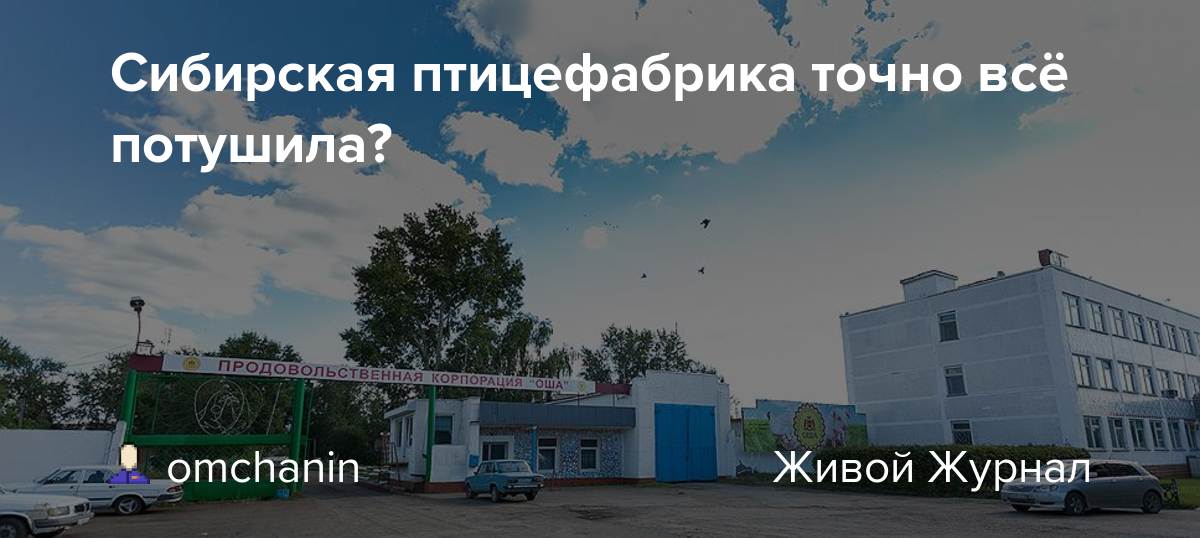 Птицефабрика сибирская поселок ростовка 38 фото Сибирская птицефабрика точно всё потушила? - Невидимый город - ЖЖ