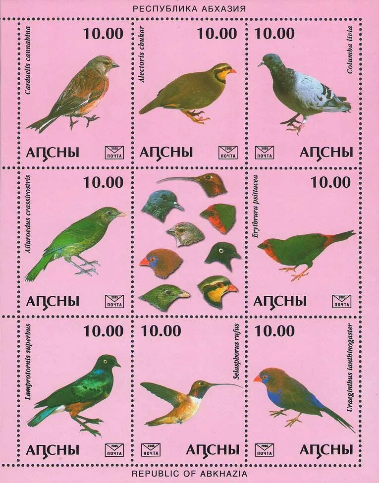 Птицы абхазии фото и названия Birds.