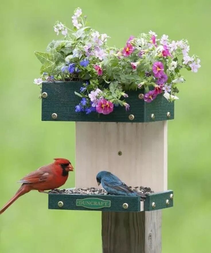 Птицы для сада своими руками фото Pin de Akın Selvi em bird feeder Casas de pássaros de madeira, Casa de passarinh