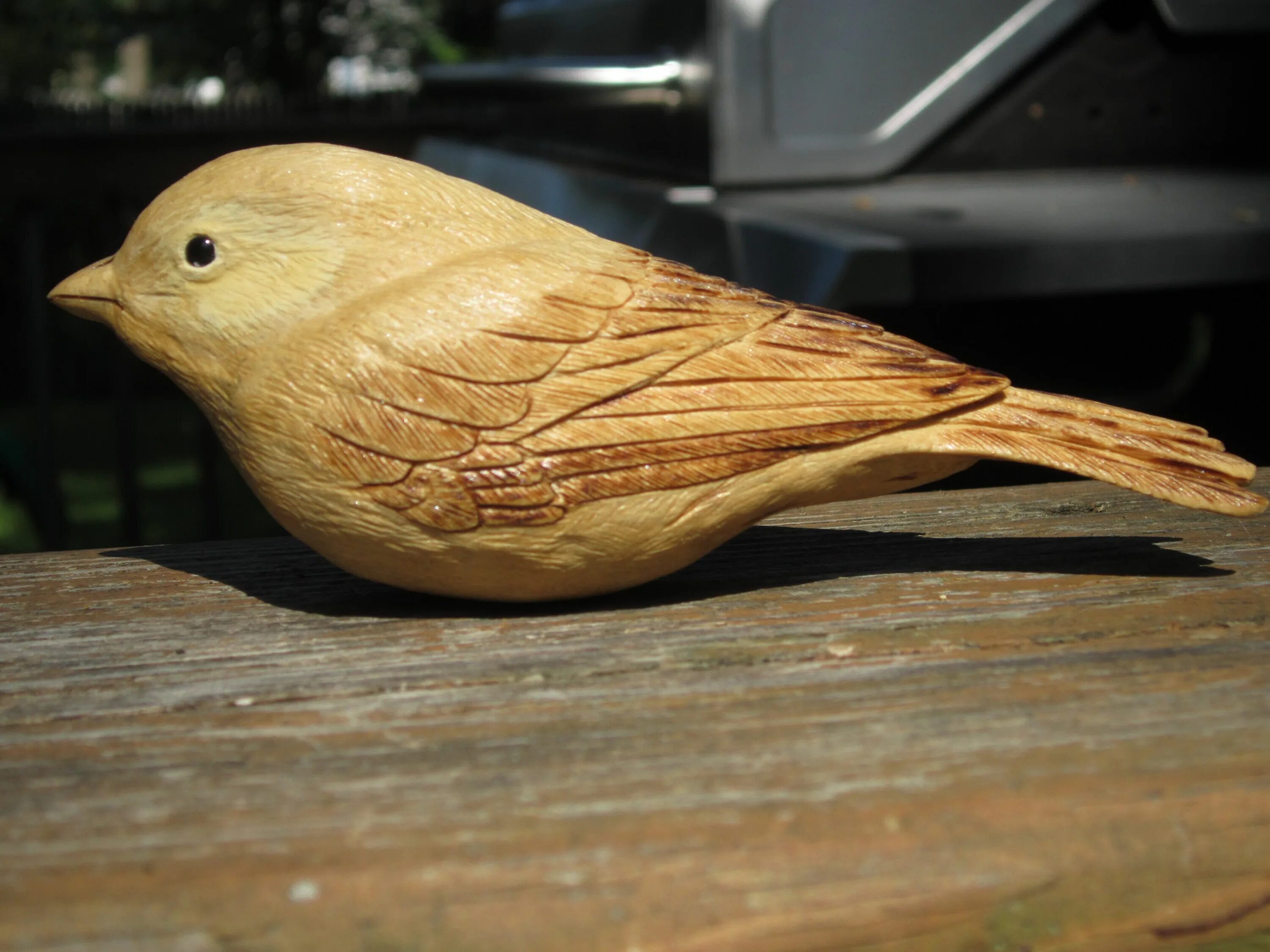 Птицы из дерева своими руками чертежи My first song-bird carving...a black-capped chickadee. Bird carving, Carving, Wo