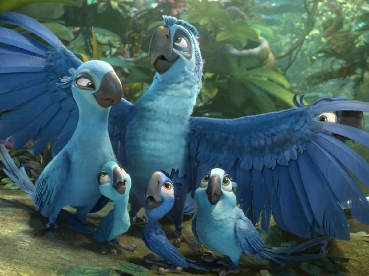 Птицы из мультиков фото Rio 2 3D, film review: An utterly predictable plot but colour, wit and inventive