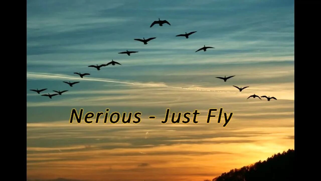 Птицы летят на юг фото Just Fly - Nerious: Lirik Lagu, Video Musik & Konser