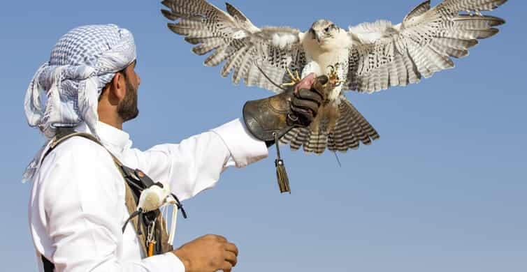 Птицы оаэ фото Dubai: Safári no deserto de meio dia, passeio de camelo e opção de quadriciclo G