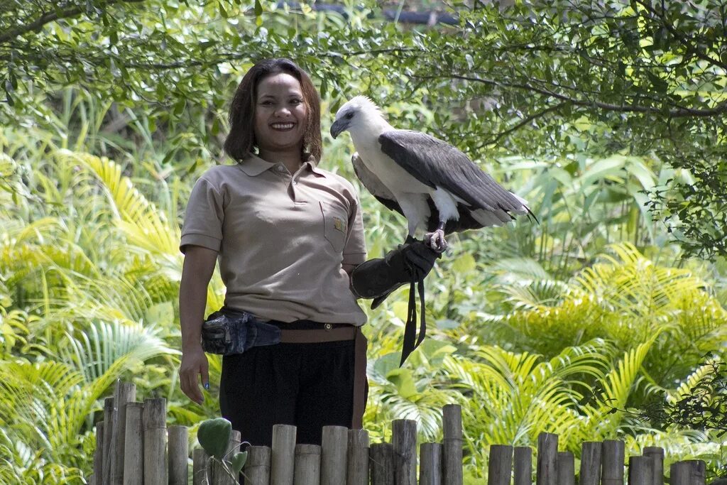 Птицы пхукета фото Парк птиц на Пхукете (Phuket Bird Park)