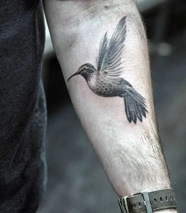 Птицы татуировок фото Pin by Nichole Perkins on Tattoos Hummingbird tattoo, Tattoo designs men, Tattoo