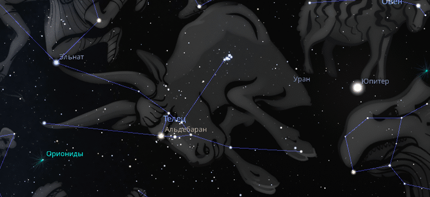 Птицы захмелели ул созвездий 5а фото Созвездие Телец (Taurus), как найти, интересные объекты