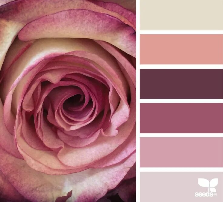 Пудрово розовый цвет фото rose hues image via: @gildedbloom Color balance, Design seeds, Colour