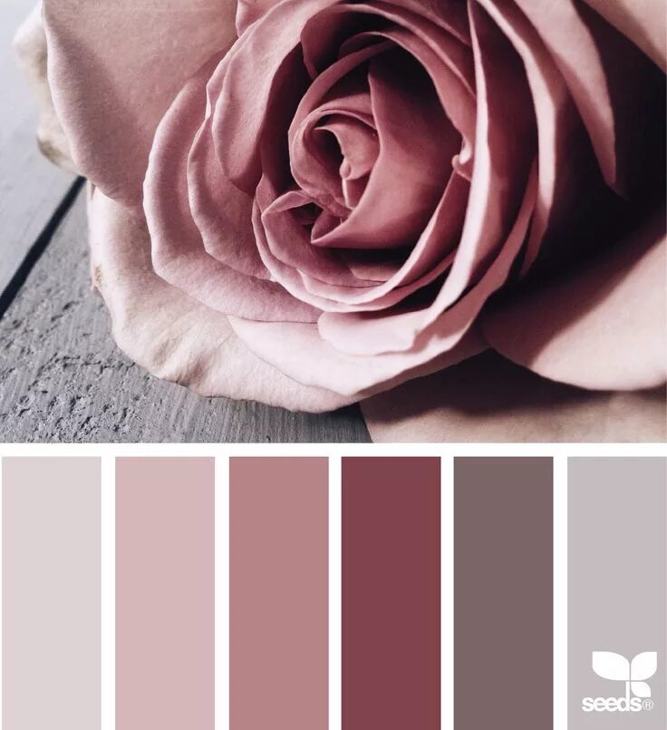 Пудрово розовый цвет фото petaled tones image via: @georgiestclair Bedroom colors, Colour schemes, Color p