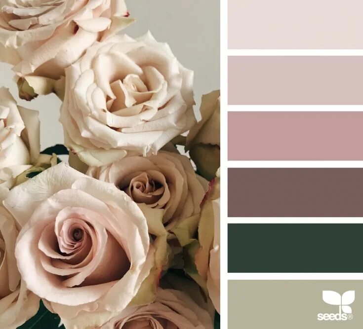 Пудрово розовый цвет фото Rose Tones Design seeds, Seeds color palette, Design seeds color palette