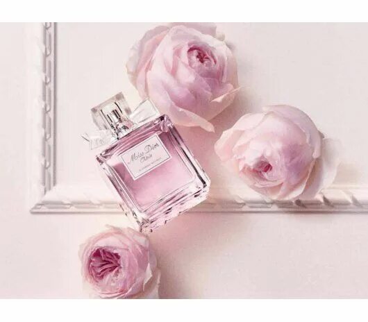 Пудровые духи фото Парфюмерия :: Miss Dior Cherie Blooming Bouquet 100 ml Женская парфюмерия