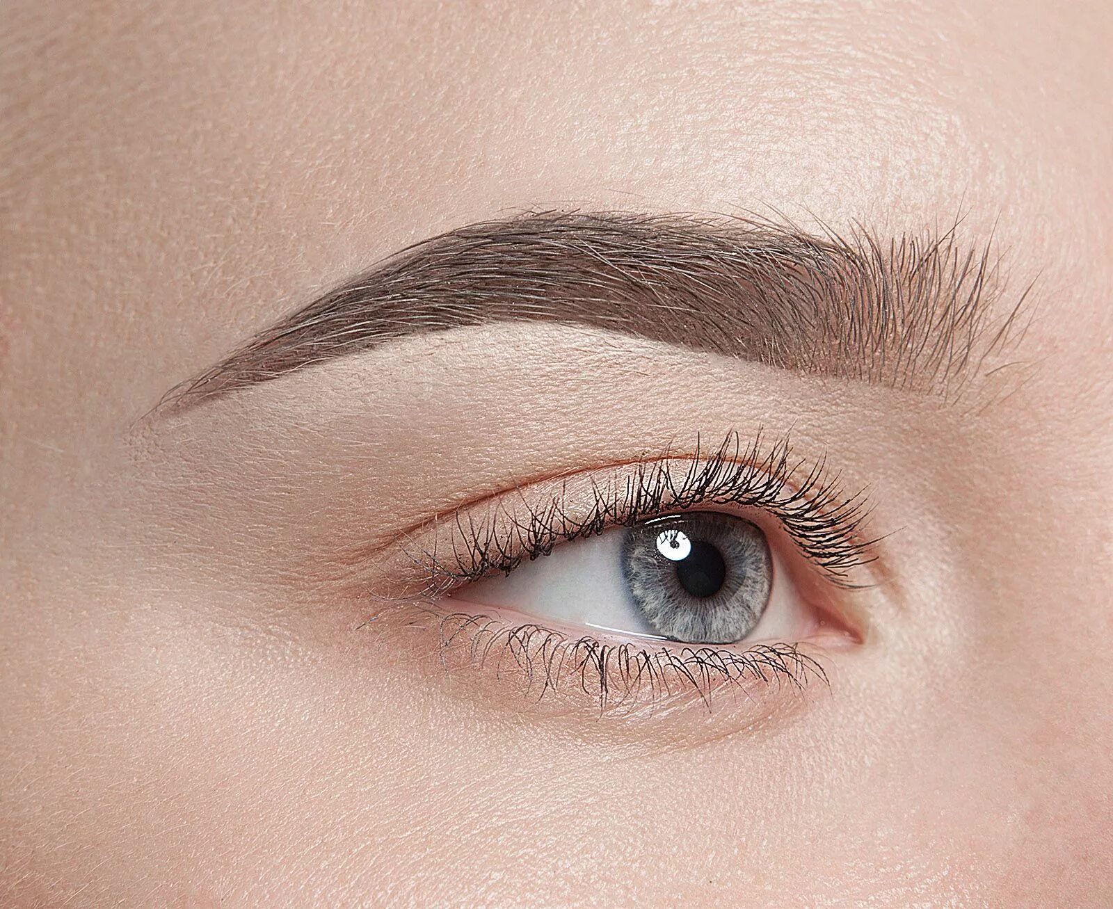 Пудровый макияж бровей сколько держится Photo: Estybeauty, eyebrow and eyelash salon, Novosibirsk, Sovetskiy City Admini