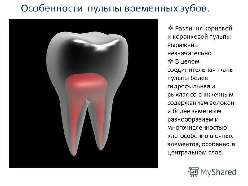 Пульпит молочного зуба у детей: что это такое, лечение пульпита у ребенка и проф