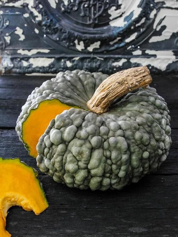 Пупырчатая тыква фото Marina Di Chioggia Squash Seeds Obst und gemüse, Kürbisse, Gemüse