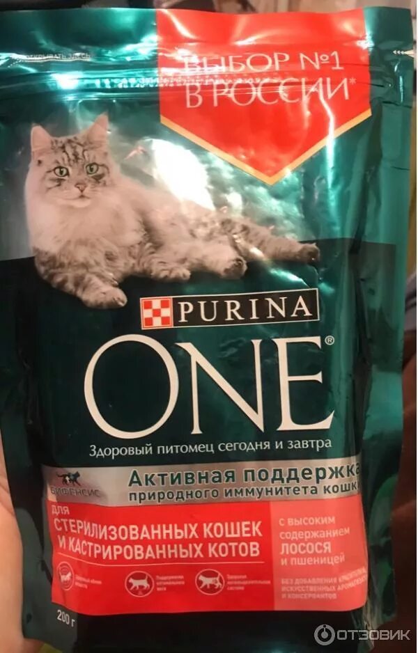 Пурина для кошек фото Отзыв о Сухой корм Purina One для стерилизованных кошек и котов с лососем и пшен