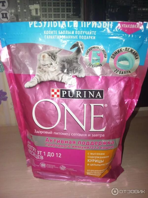 Пурина для котят фото Отзыв о Корм для котят Purina One Сытный корм для маленьких питомцев