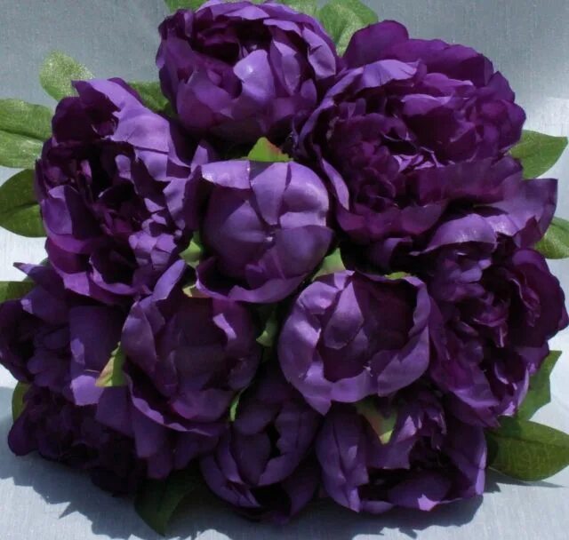 Пурпурные пионы фото purple peonies Purple Passion Pinterest Purple wedding bouquets, Spring wedding 