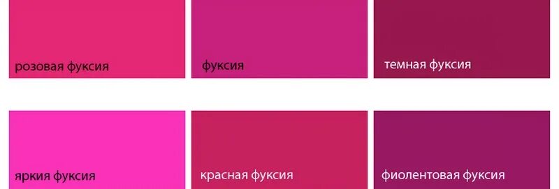 Пурпурный цвет это какой показать фото цветов Цвет Фуксия (54 фото): что это, с чем сочетается одежда, как выглядит сочетание 