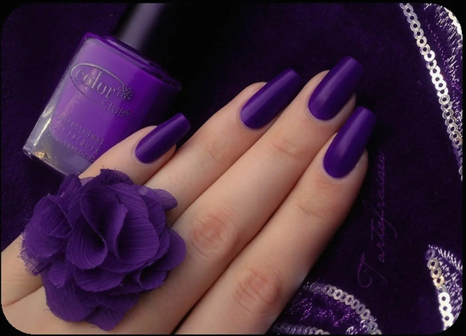 Пурпурный цвет маникюра с дизайном 16 Purple Nail Art Ideas That Are Just SO Elegant! Purple acrylic nails, Matte p