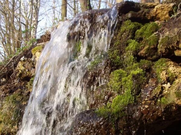 Пущинский водопад московская область пущино фото Waterfall & Spring - Pushchino