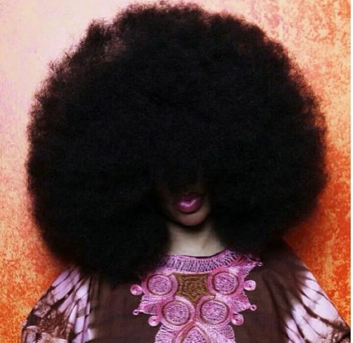 Пушистая прическа World's Largest afro Big afro, Natural hair styles, Afro hair art