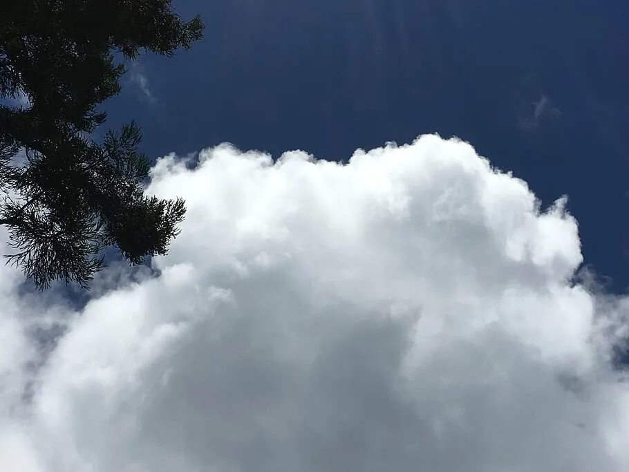 Пушистые облака фото white cloud, blue sky, nature, sky, cloud - sky, low angle view, beauty in natur