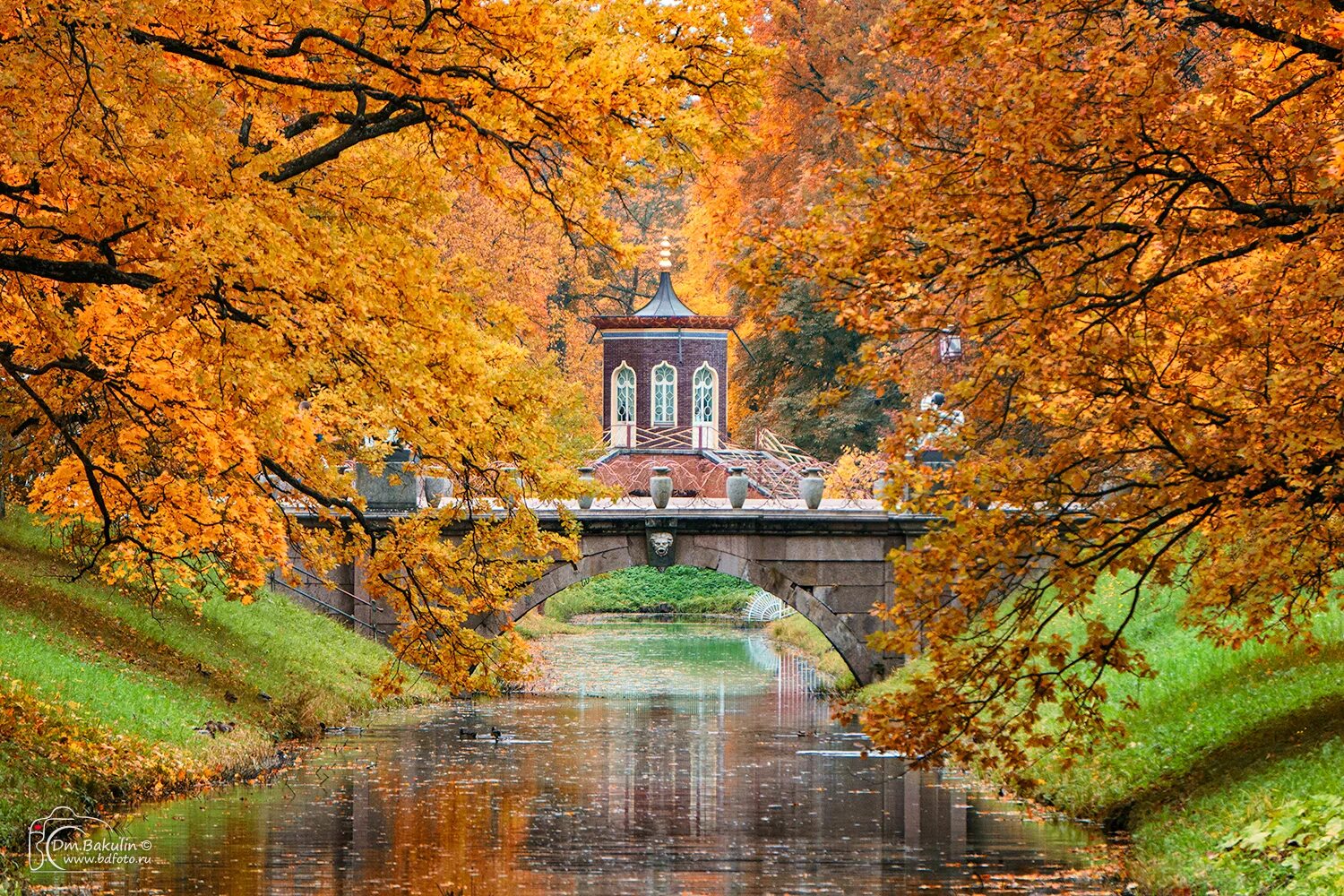 Пушкин осень фото Осень в Александровском парке Царского Села. Фотограф Дмитрий Бакулин