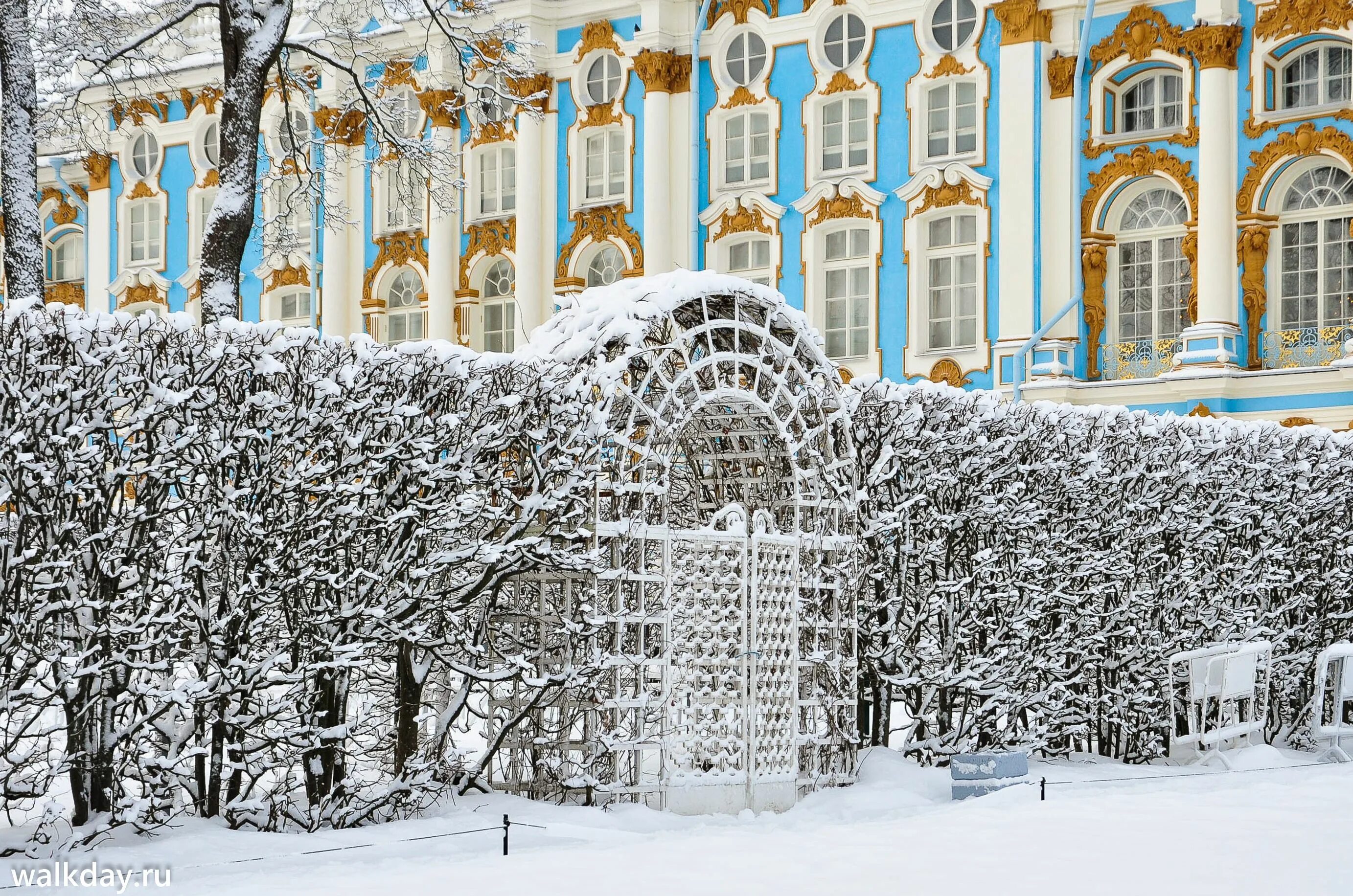 Пушкин зимой фото Куда съездить зимой в Ленинградской области