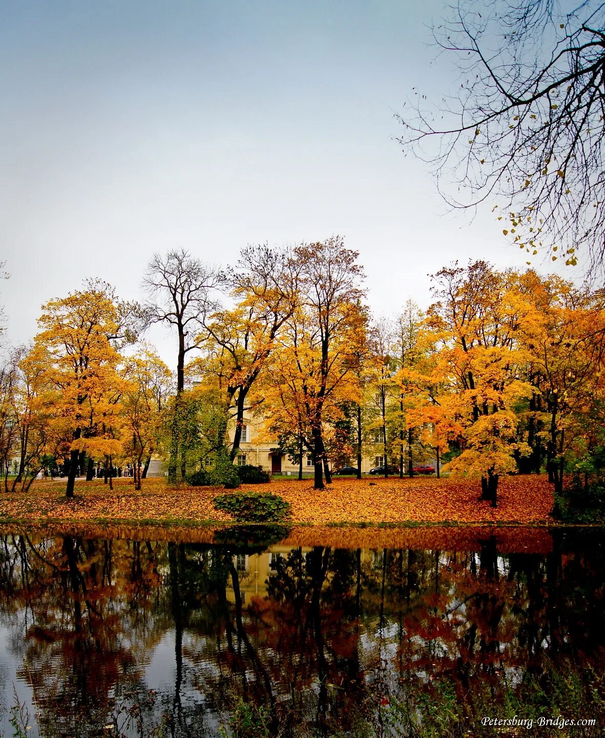 Пушкино осенью фото Pushkin, Saint Petersburg - landscapes and photos