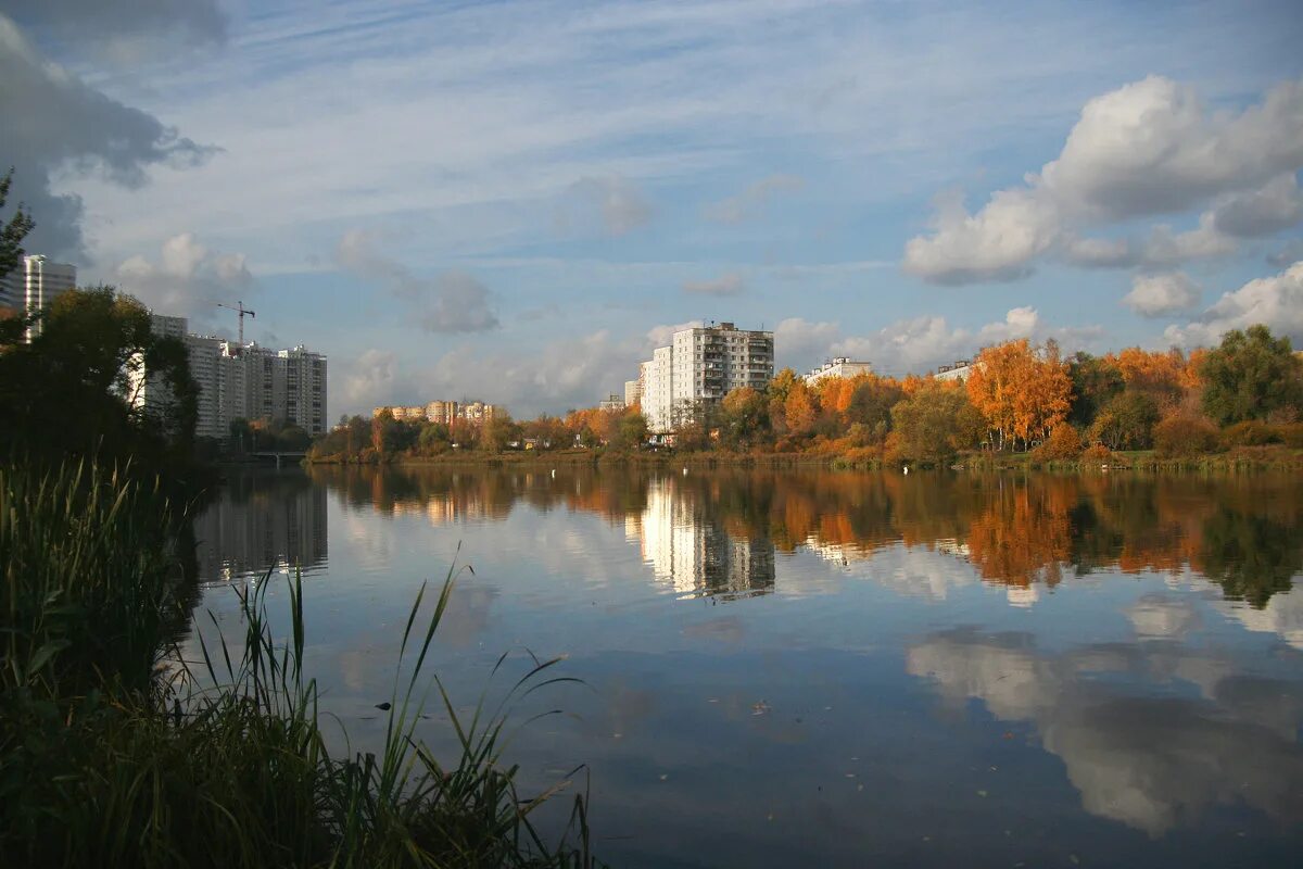 Пушкино подмосковье фото С вами прощается лето... (Геннадий Вершинин) / Стихи.ру