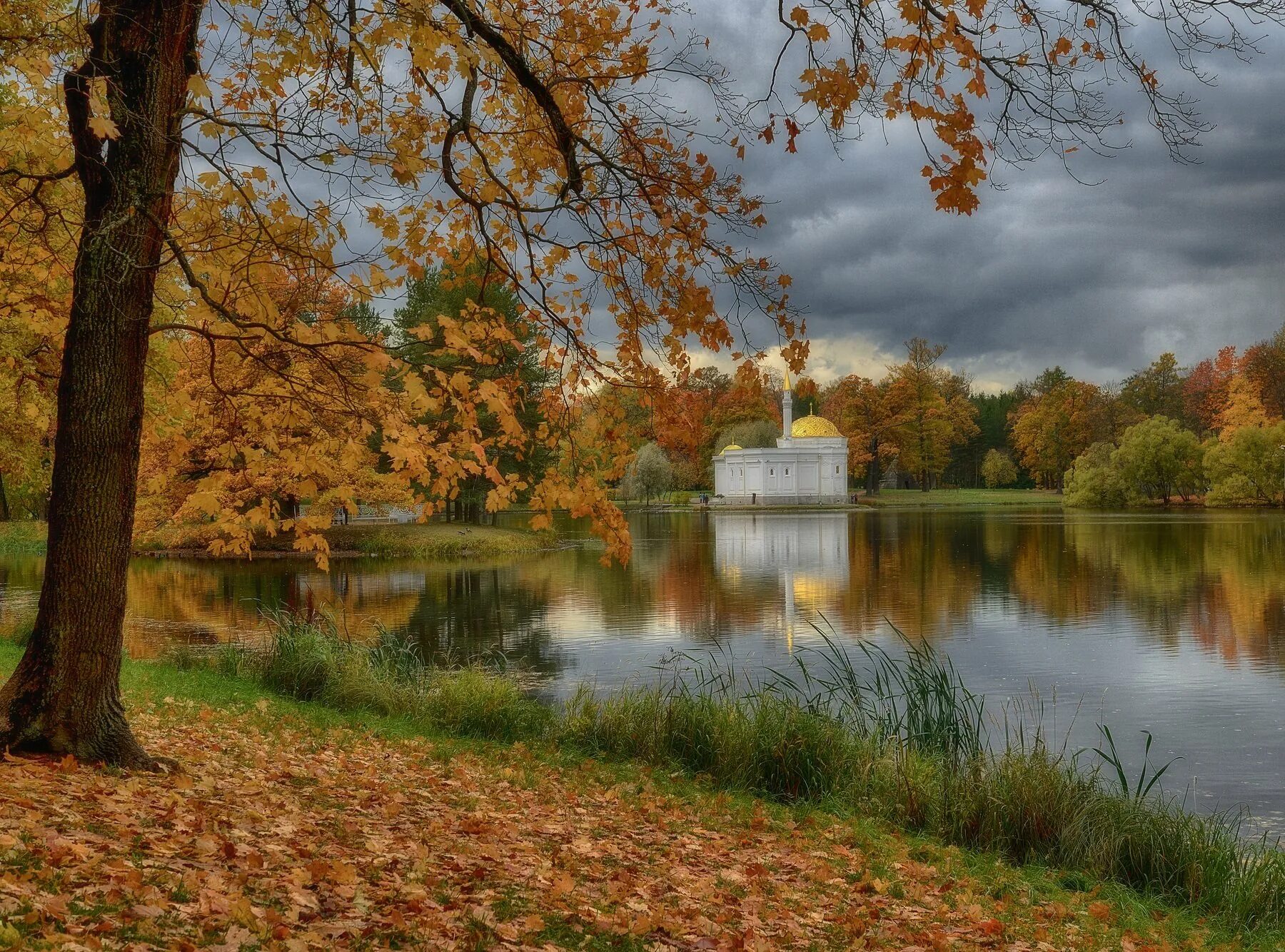 Пушкинская осень фото оттенки осени.... Фотограф Наталия К