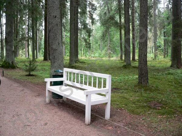 Пушкинская скамья фото Пушкинские горы. Музей-Заповедник Михайловское - Путешествия по России