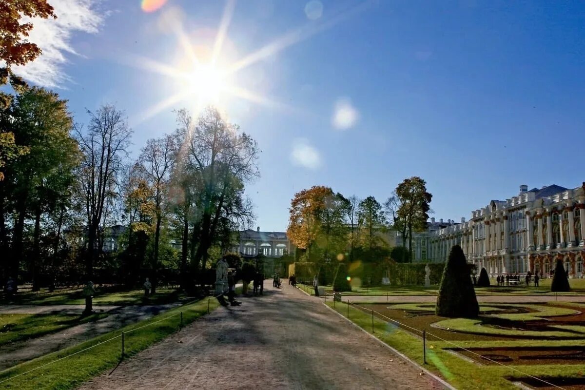 Пушкинский район спб фото Единоросс Бочков присвоил себе заслуги Смольного, администрации и муниципальных 