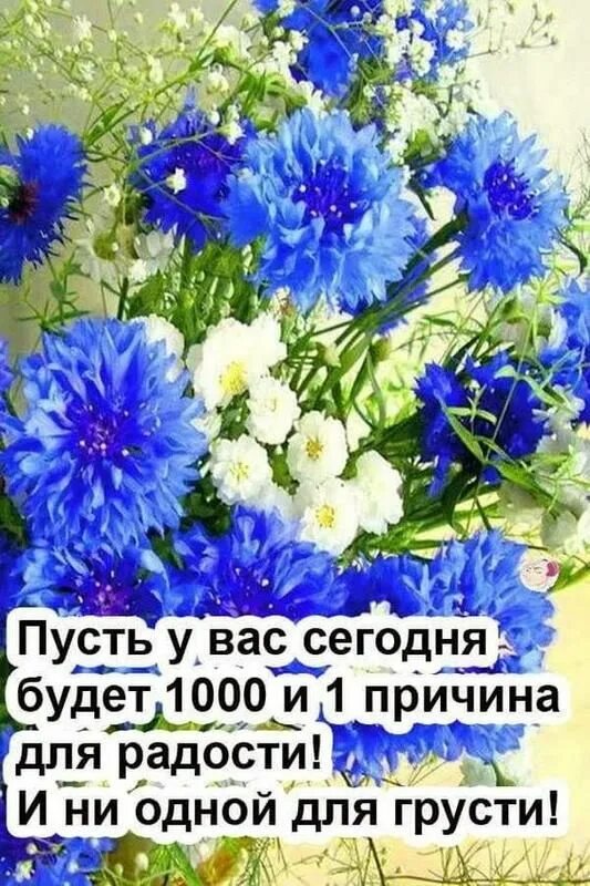 Пусть сегодня будет хороший день картинки С добрым осенним утром картинки - Стихи и красивые картинки с добрым утром с над