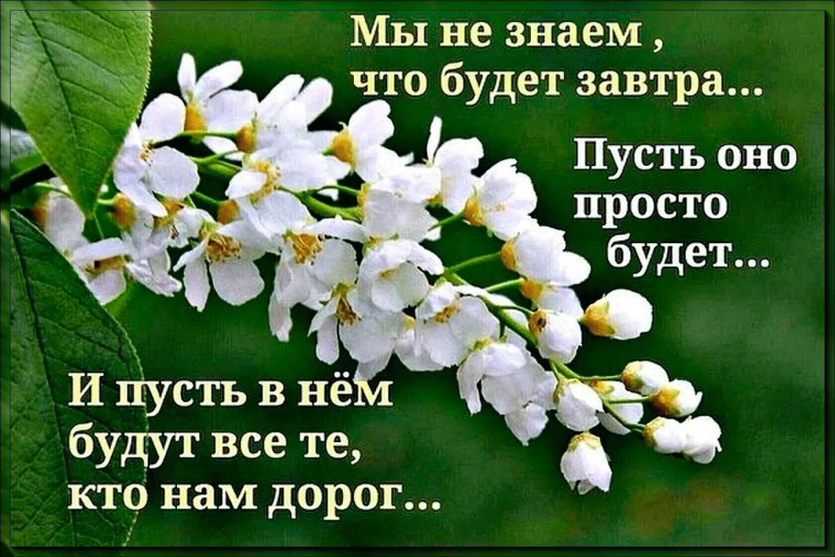 Пусть все будет хорошо картинки позитивные Пусть будет все как есть гл 38: найдено 80 изображений